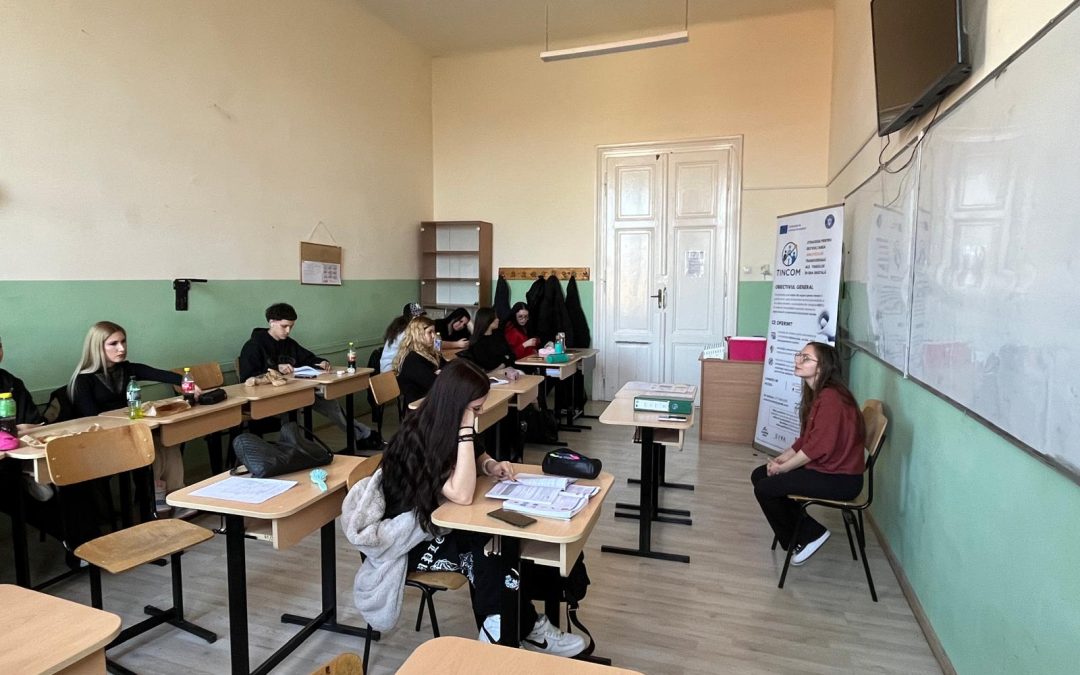 Luna martie în proiectul TINCOM: învățare, diversitate și implicare